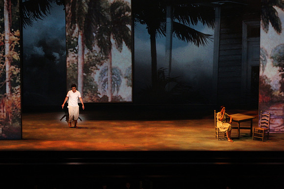 Before Night Falls Florida Grand Opera by Jorge Martin with Dolores M. Koch