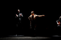 20140227_Flamenco_Festival_1_9C7C0015