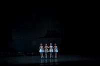 20151025_MCB_Swan_Lake_2Cast_Arsht_IMG_0008