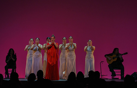 20210417_Siudy_ flamenco_archt_DSC9922