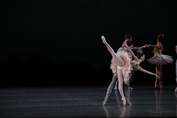 20160318_Midsummer_Night's_Dream_PR_Closeup_G3P0143