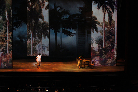 Before Night Falls Florida Grand Opera by Jorge Martin with Dolores M. Koch