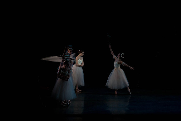 7064_DG_GISELLE_Broward_Preformance_Miami_City_Ballet_FL_AL1B2967