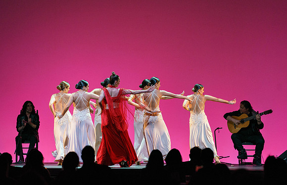 20210417_Siudy_ flamenco_archt_DSC9895