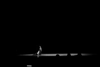 7025_DG_Ballet_Imperial_Rehersal_MCM_FL_IMG_0301
