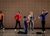 20170112_Galss_Pieces_DR_MCB_Arsht_73A6743