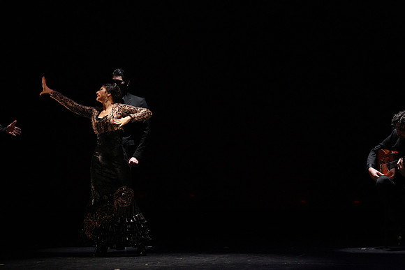 20140227_Flamenco_Festival_1_9C7C0118