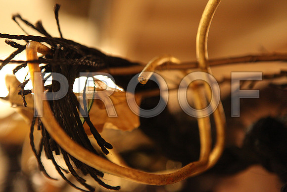 20140508_THAIS_ARSHT_IMG_1400