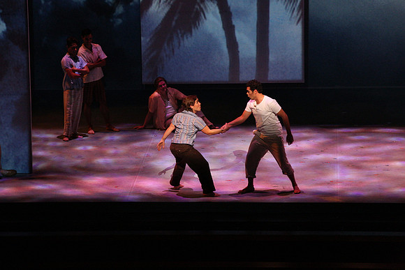 Before Night Falls Florida Grand Opera by Jorge Martin with Dolores M. Koch