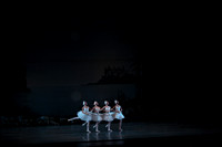 20151025_MCB_Swan_Lake_2Cast_Arsht_IMG_0004