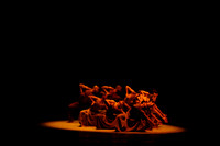 20160220_Alvin_Ailey_Revelations_IMG_5970