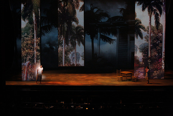 Before Night Falls Florida Grand Opera by Jorge Martin with Dolores M. Koch