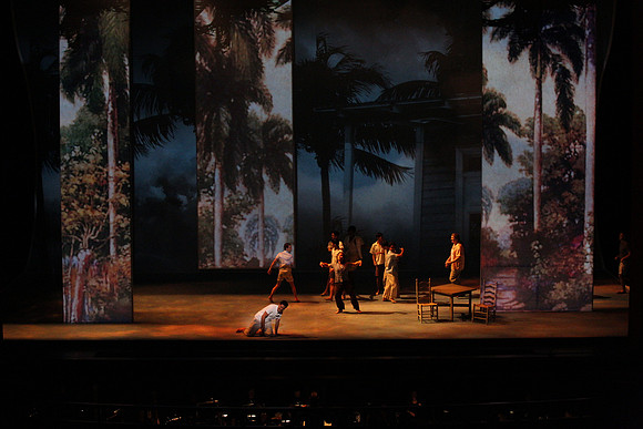 Before Night Falls Florida Grand Opera by Jorge Martin with Dolores M. Koch