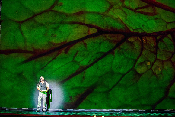 Florencia en el Amazonas Florida Grand Opera by Marcela Fuentes-Berain