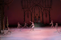 20141229_Nutcracker_WPB_Hoops_CG3P1349