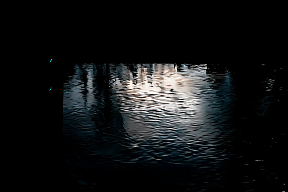 _DSC5558