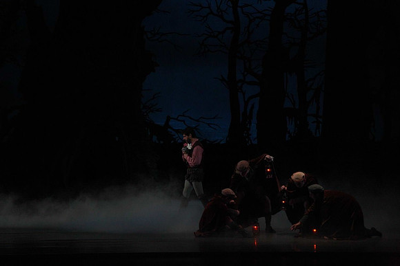20161020_MCB_Giselle_Act2_DRNN_Arsht_9C7C0023
