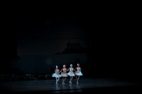 20151025_MCB_Swan_Lake_2Cast_Arsht_IMG_0011