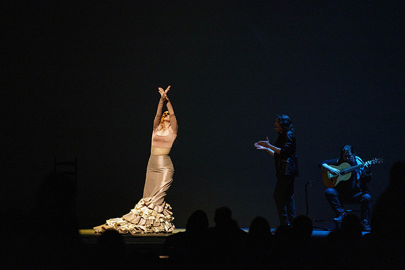 20210417_Siudy_ flamenco_archt_DSC5742