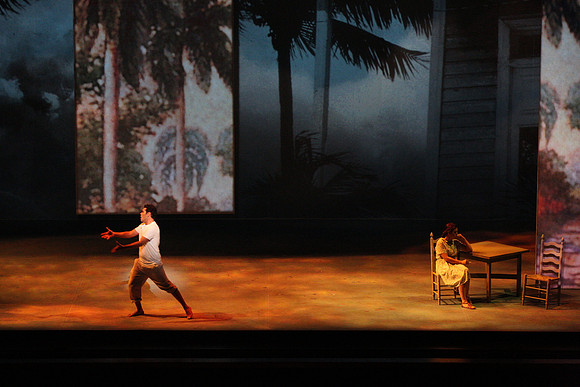 Before Night Falls Florida Grand Opera by Jorge Martin with Dolores M. Koch