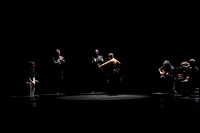 20140227_Flamenco_Festival_1_9C7C0010