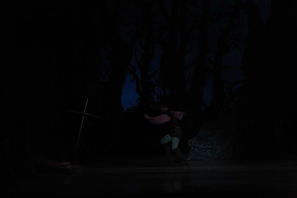 20161020_MCB_Giselle_Act2_DRNN_Arsht_9C7C0075