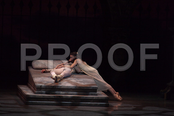 5029_DG_Miami_City_Ballet_Romeo_and_Juliet_Broward_center_2011_MG_7762-2