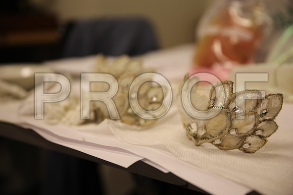 20150901_Fitting_Swan_Lake_Wardrobe_IMG_6234
