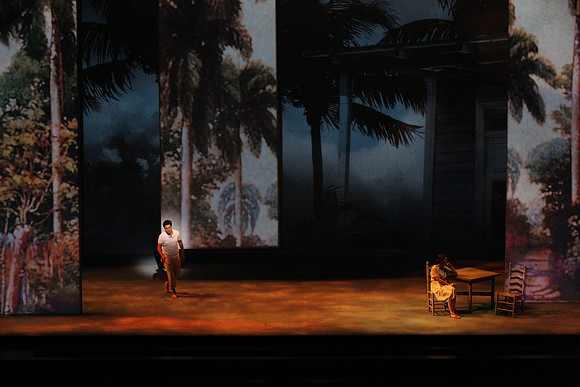 Before Night Falls Florida Grand Opera by Jorge Martin with Dolores M. Koch