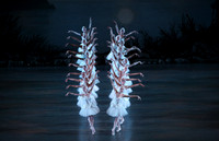 20151114_Swan_Lake_George_Balanchine_Kravis_IMG_6565