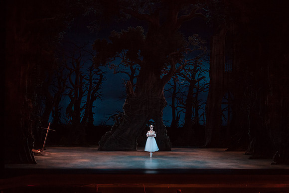 7064_DG_GISELLE_Broward_Preformance_Miami_City_Ballet_FL_IMG_4045