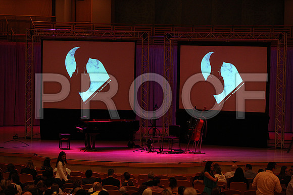 20150203_The_Piano_Guys_Arsht_9C7C1128