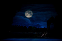 20240418_Swan_Lake_ACT_2_2_Cast_DSC5531.ARW