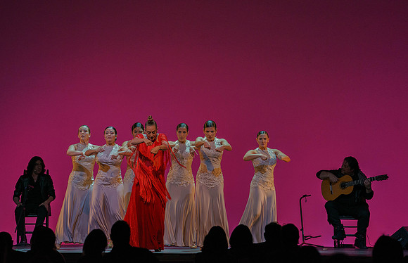 20210417_Siudy_ flamenco_archt_DSC9917