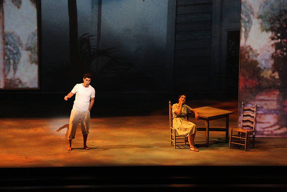 Before Night Falls Florida Grand Opera by Jorge Martin with Dolores M. Koch