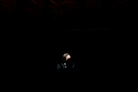 20221022_Romeo_and_Juliet_DSC4015