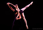 polyphonia-1-sarah-lambjohannes-stepanek