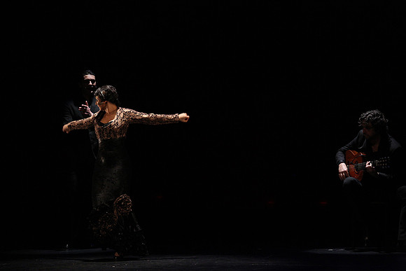 20140227_Flamenco_Festival_1_9C7C0134