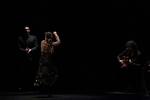 20140227_Flamenco_Festival_1_9C7C0149
