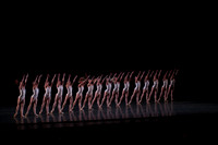 20150109_MCB_Symphony_in_3_Mouvements_AC_CG3P0224