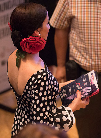 20170302_Stars_of_Flamenco_173A0126