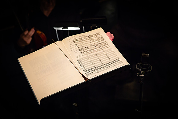 20180315_Oerfeo_FGO_Orchestra_9C7C8566
