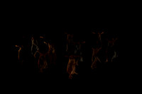 20130222-AL1B0327