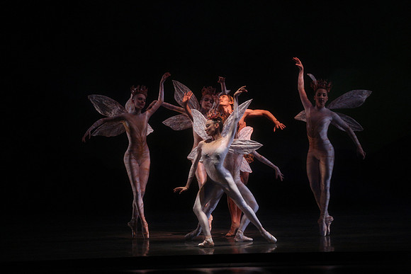 20160317_Midsummer_Night's_Dream_DR_Closeup_IMG_5619