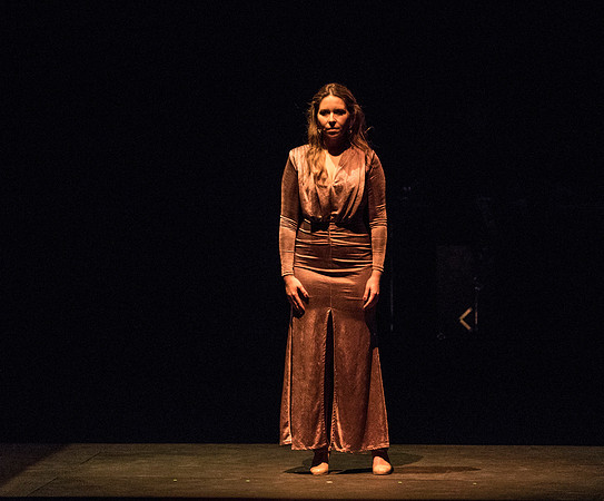 20170302_Stars_of_Flamenco_73A0737