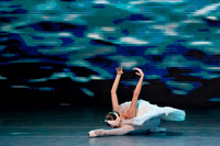 20241026_untitled20241026_Dying Swan__DSC5695
