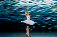 20241026_untitled20241026_Dying Swan__DSC5773