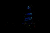 20150303_Pearl_Fisher_Act3_CG3P8811