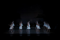 20151022_MCB_Swan_Lake_DR_WD_Arsht__75A6693