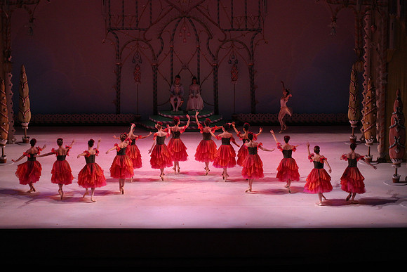 20141229_Nutcracker_WPB_Flowers__CG3P2055